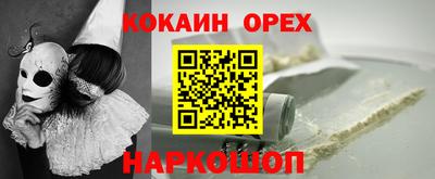 стаф Гатчина