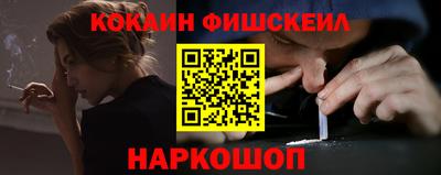 стаф Гатчина