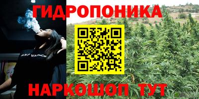 таблы Гай
