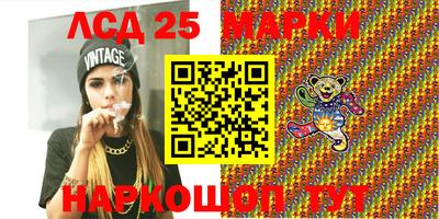 стаф Гатчина