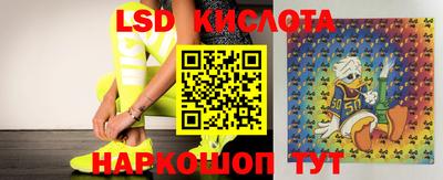 стаф Гатчина