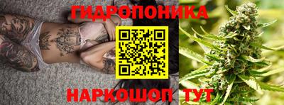 стаф Гатчина