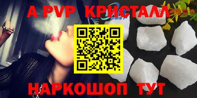стаф Гатчина