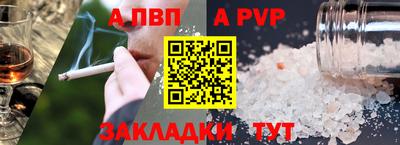 стаф Гатчина